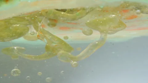 Lava Lamp, Liquid Inside Like Oils, Macro Abstraction, Something Poured Into Wat Stock Footage 269661746