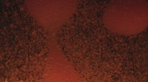 Lava Lamp Macro Abstract Liquid Motion Variation Seven Stock Footage 60689810