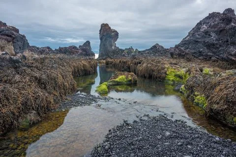 Lava rock cliffs of Dritvik and Djupalonssandur, Snaefellsness peninsula, Ice Stock Photos