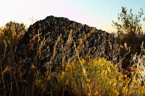 Lava rock Stock Photos