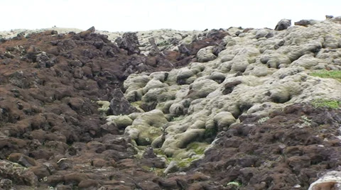 Lava rocks partly covered with moss - zoom Stock Footage 37588079