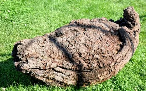 Lava stone after Stock Photos