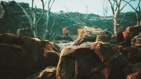 Lava stone field with dead trees and plants Stock Illustration