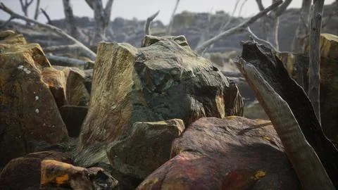 Lava stone field with dead trees and plants Stock Illustration