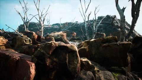 Lava stone field with dead trees and plants Stock Illustration