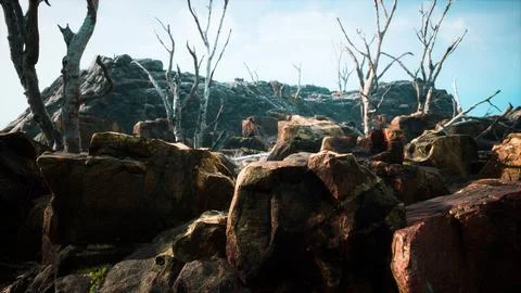 Lava stone field with dead trees and plants Stock Illustration