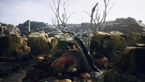 Lava stone field with dead trees and plants Stock Illustration