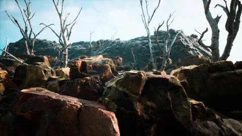 Lava stone field with dead trees and plants Stock Illustration