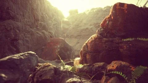 Lava stone field with dead trees and plants Stock Illustration