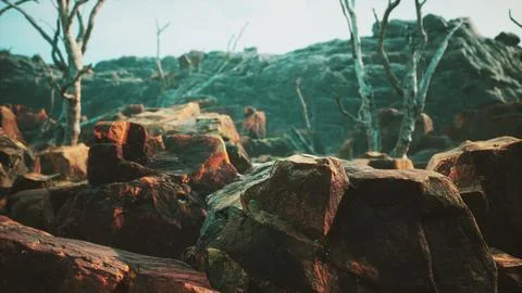 Lava stone field with dead trees and plants Stock Illustration