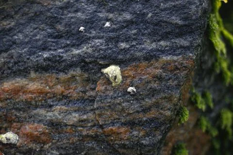 This is a lava stone. Stock Photos
