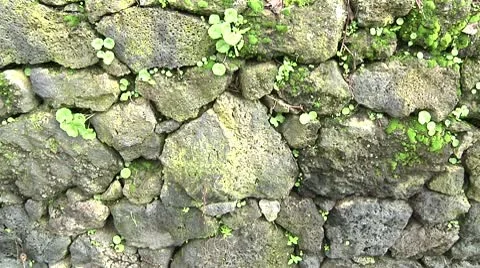 Lava Stone Wall Stock Footage 9829434
