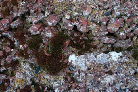 Lava texture Stock Photos