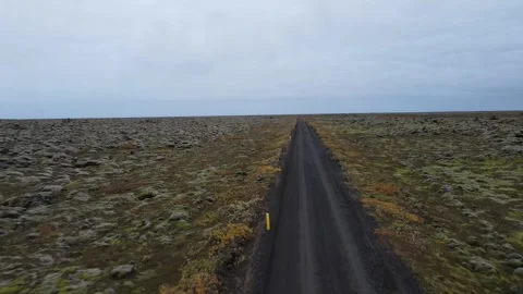 Lava_field Video stock 313273737