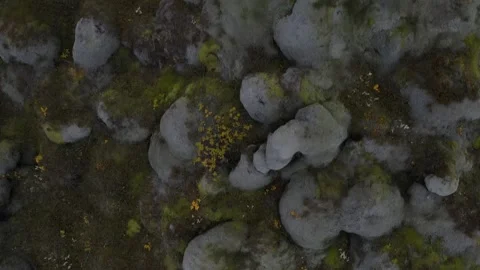 Lava_field Video stock 313273915