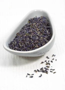 LAVANDE Stock Photos