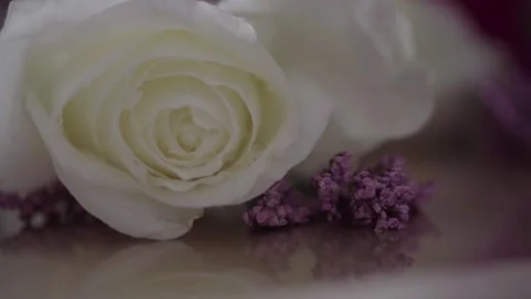 Lavander and rose 스톡 동영상 156834391
