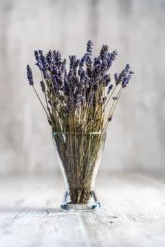 Lavander decoration Stock Photos