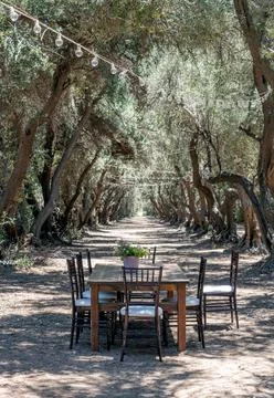 Lavander farm table Stock Photos