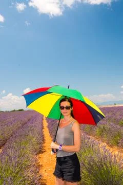 Lavander field, provence. beautiful woman with colourful umbrella Stock Photos