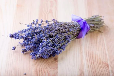 Lavander Stock Photos