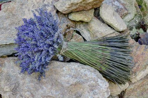 Lavander on stones Stock Photos