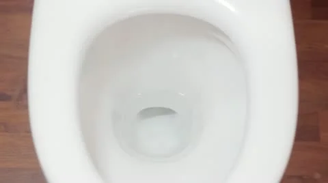 Lavatory Flush Stock Footage 11861633