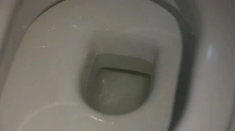 Lavatory Pan Stock Footage 52554163