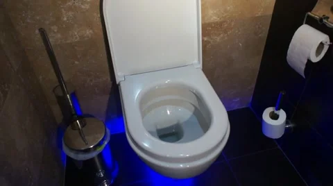 Lavatory Pan Stock Footage 52554166