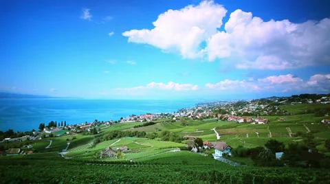 Lavaux Vineyard Stock Footage 29623648