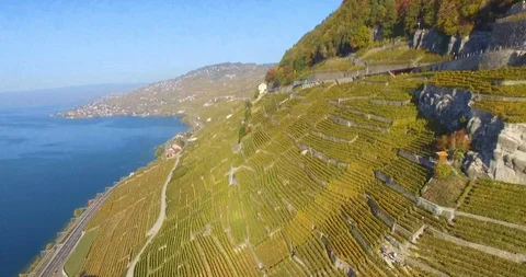 Lavaux vineyard from sky Stock Footage 102567604
