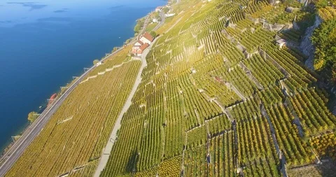 Lavaux vineyard from sky Video stock 102567703