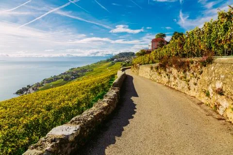 Lavaux Vineyard Terraces hiking trail with Lake and Mountain landscape, Canton Stock Photos