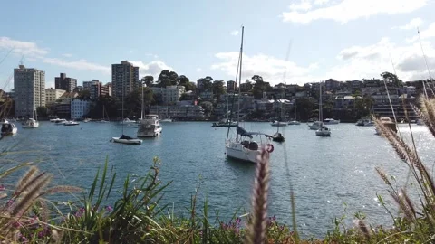 Lavendar Bay - Yachts Stock Footage 321850957
