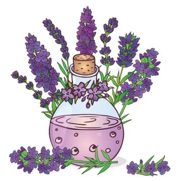 Lavender and bottle Stock Illustration