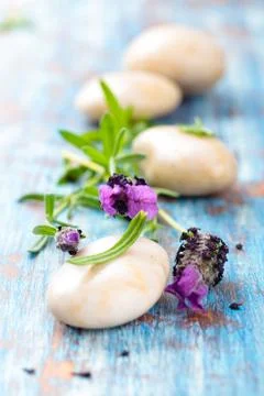Lavender and pebbles. Stock Photos