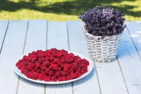 Lavender and raspberry on boards Stock Photos
