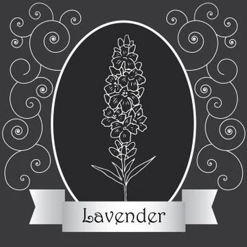 Lavender background Stock Illustration