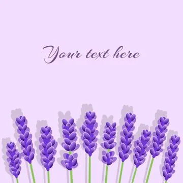 Lavender Background with shadows Stock Illustration