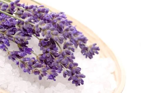 Lavender bath Stock Photos