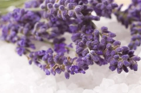 Lavender bath Stock Photos