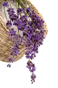 Lavender bath Stock Photos