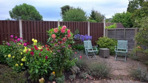 The Lavender bed in August, 2025. Stock Footage 321459377