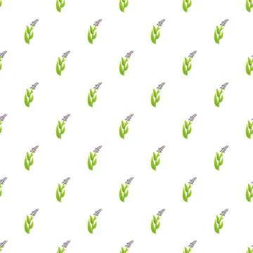 Lavender blossom pattern repeating on white background Stock Illustration