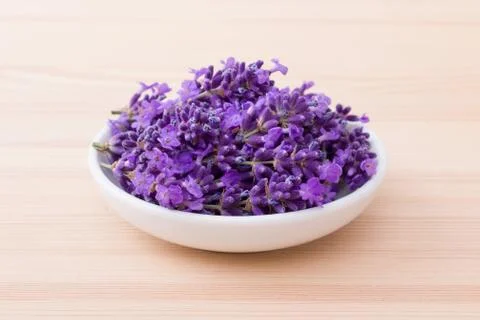 Lavender blossoms Stock Photos