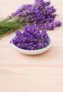 Lavender blossoms Stock Photos