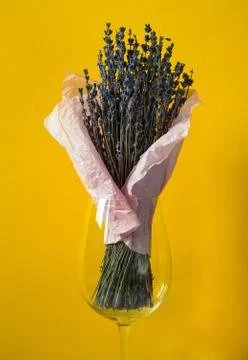 A Lavender branches. Foto stock