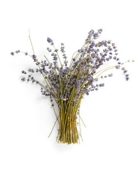 Lavender bunch Stock Photos