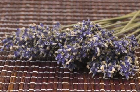 Lavender bunch Stock Photos