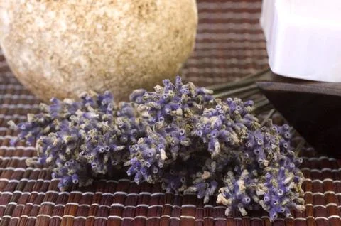Lavender bunch Stock Photos